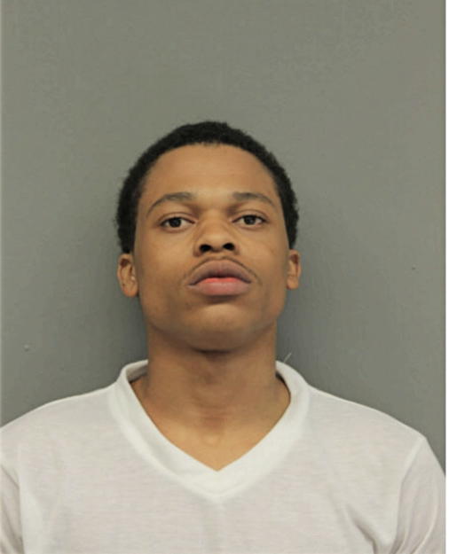 JAVALE T BELL, Cook County, Illinois