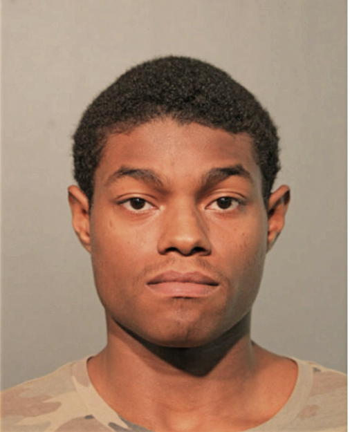 ANDREW L BLEASE, Cook County, Illinois