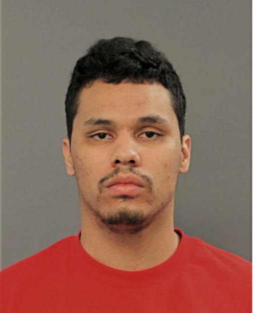 NICHOLAS M BRADBURY, Cook County, Illinois