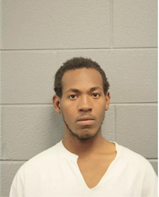 DAMAINE D C DOBBS, Cook County, Illinois