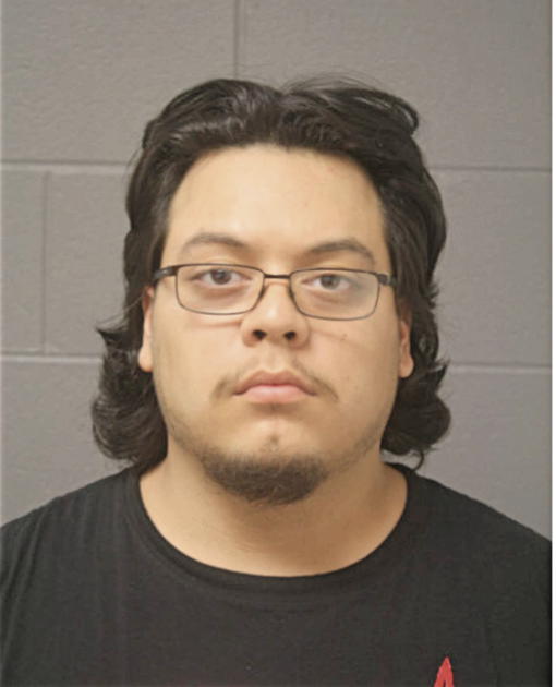 CHRISTIAN A COBAXIN, Cook County, Illinois
