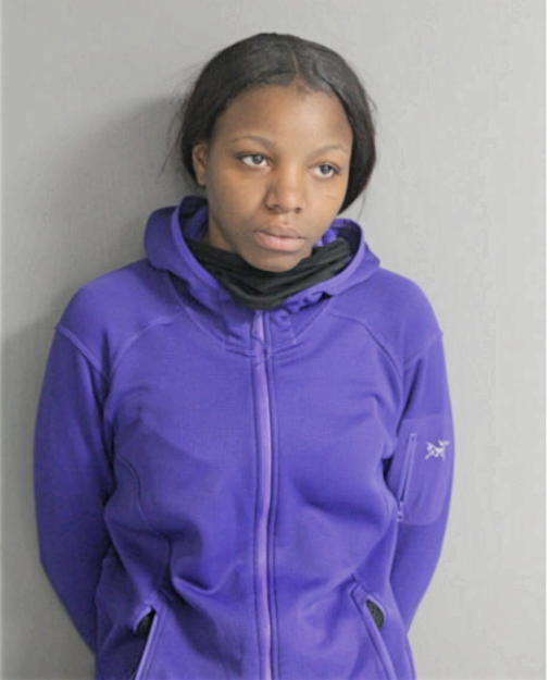 FAITH C JOHNSON, Cook County, Illinois