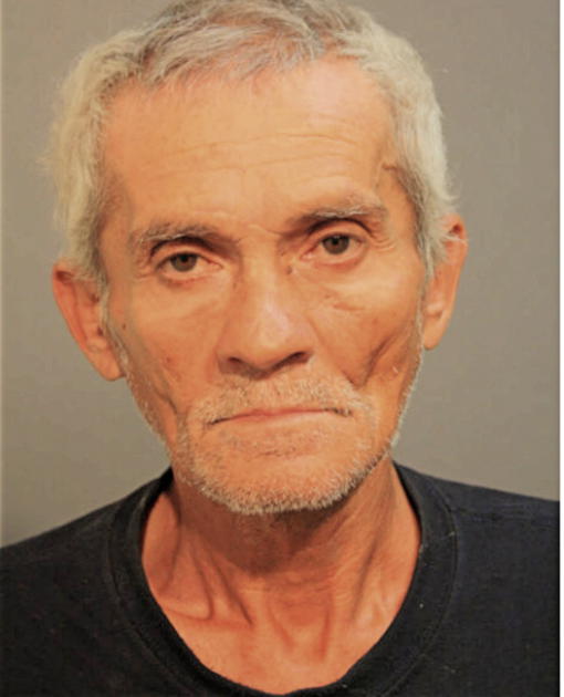SANTIAGO LABOY, Cook County, Illinois