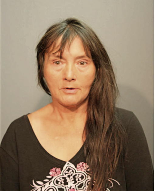 RENEE C MARTINEZ, Cook County, Illinois