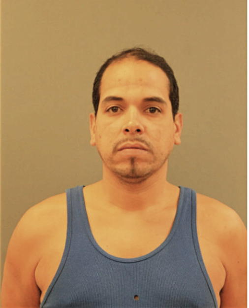 JUAN J MEDINA, Cook County, Illinois