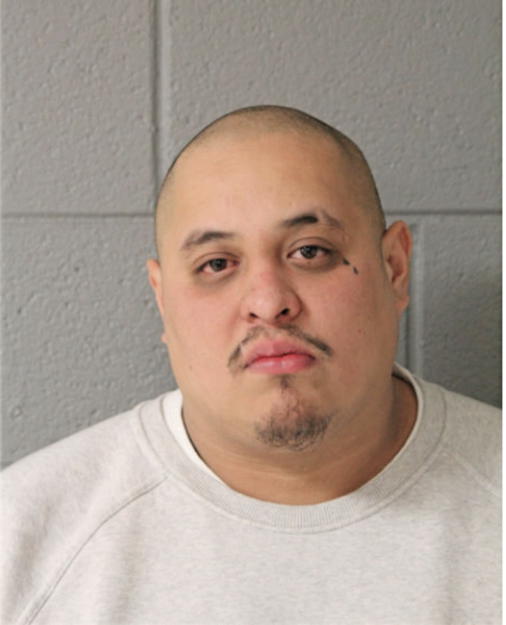 LUIS J MENDOZA, Cook County, Illinois