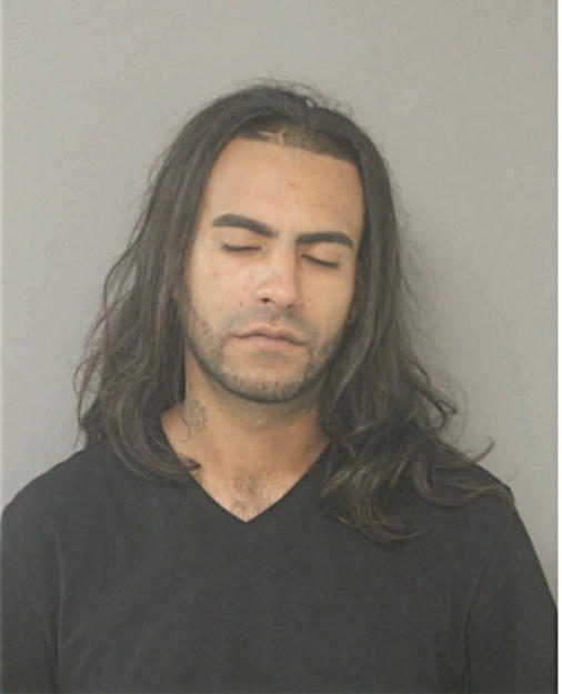 LOUIS A MIRANDA, Cook County, Illinois