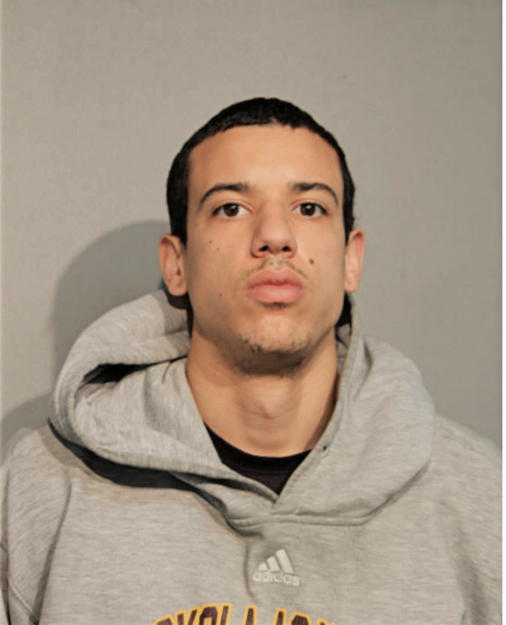 AUSTIN G MORTON, Cook County, Illinois