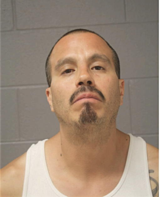 MICHAEL O NARES, Cook County, Illinois