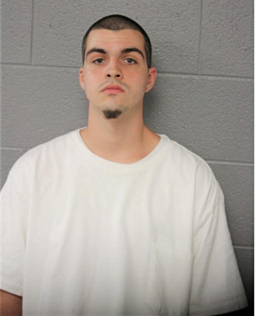 SEBASTIAN PIETRZYK, Cook County, Illinois