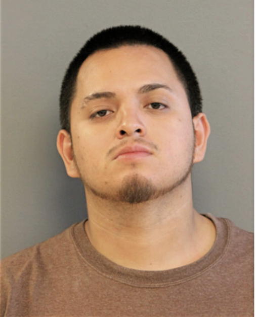JESSE RAY RICO, Cook County, Illinois