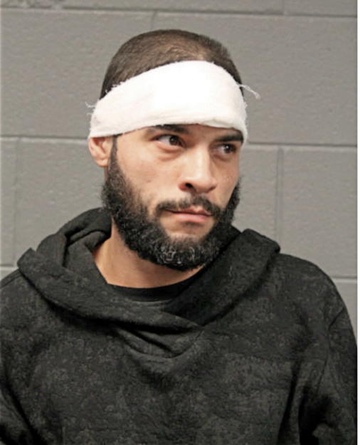 JOHNATHAN E RIVERA, Cook County, Illinois