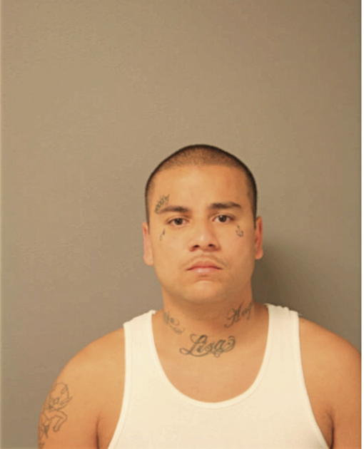 ANGEL J ROSARIO, Cook County, Illinois