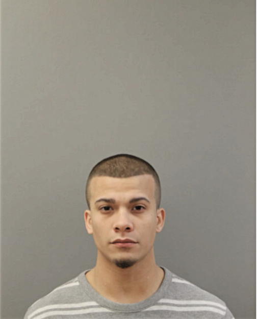 NATHANIEL J ROSARIO, Cook County, Illinois