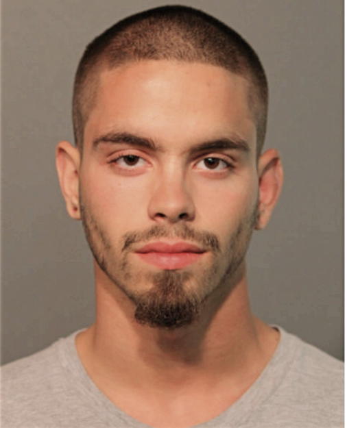 ANGEL D RUIZ, Cook County, Illinois