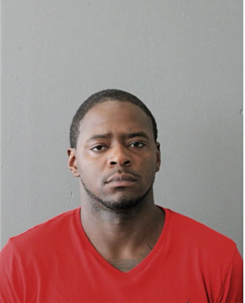 MICHAEL L YOUNG, Cook County, Illinois