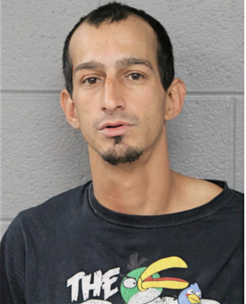 LUIS AYALA, Cook County, Illinois