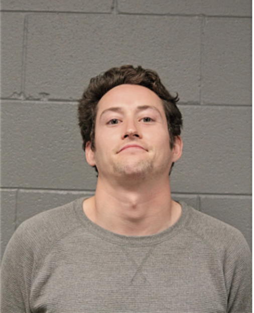 ANDREW N BALDWIN, Cook County, Illinois