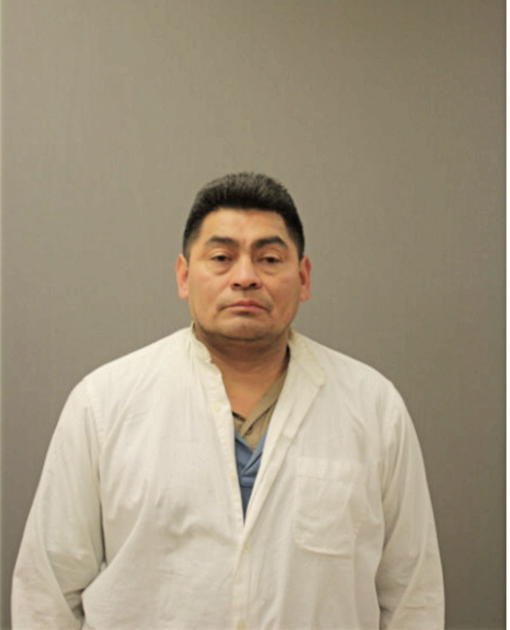 GABRIEL BIBIANO-ANALCO, Cook County, Illinois