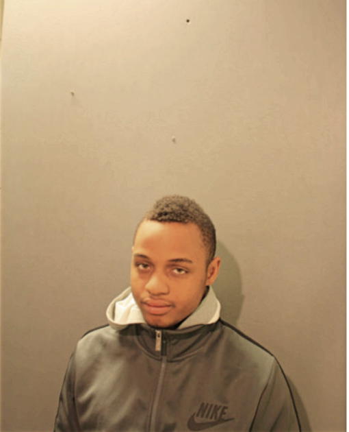 JEROME J BUCHANAN, Cook County, Illinois