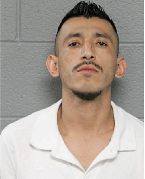 NARCISO CAMARGO, Cook County, Illinois
