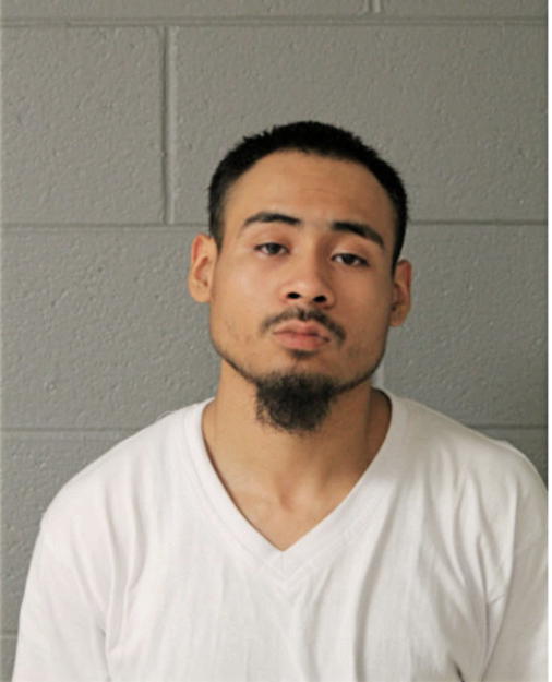 ALEX CASTRELLON, Cook County, Illinois