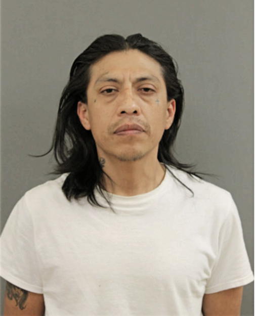 NICOLAS CORTEZ, Cook County, Illinois