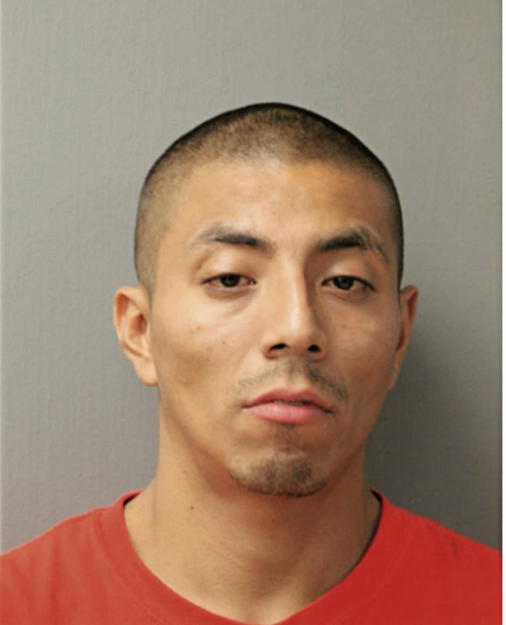 CARLOS A GARCIA, Cook County, Illinois