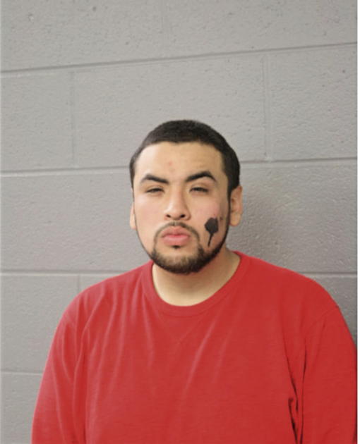 ROBERTO GARCIA, Cook County, Illinois