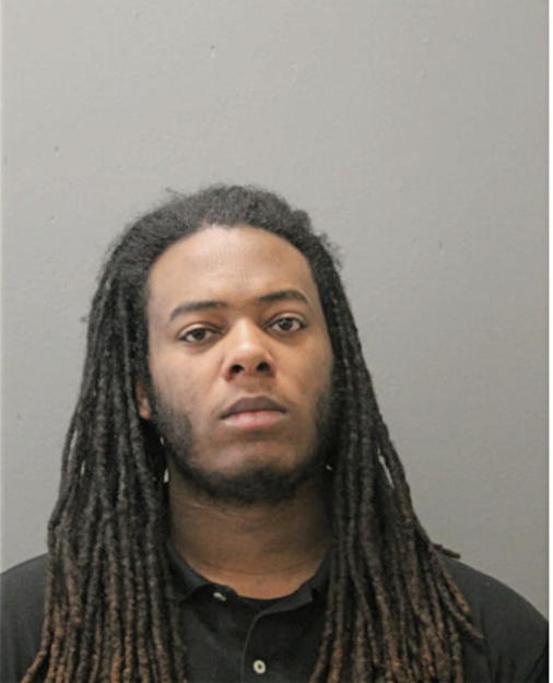BRIAN C HENRY, Cook County, Illinois