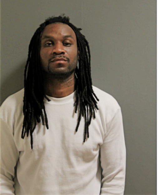 MICHAEL R HUDSON, Cook County, Illinois