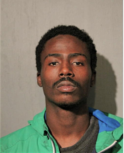 TERRY N JACKSON, Cook County, Illinois