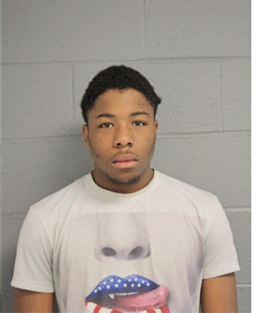 STEVEN R JENKINS, Cook County, Illinois