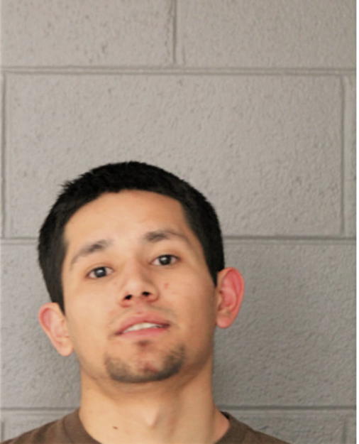 ELMER DE LA O, Cook County, Illinois