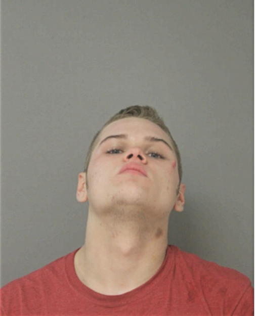 JACOB M LOVE, Cook County, Illinois