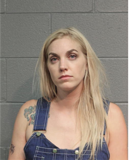 CARA L MOLITOR, Cook County, Illinois