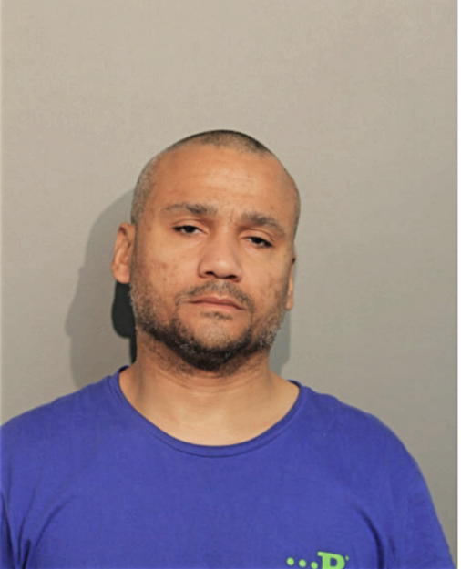 SHAWN N WASHINGTON, Cook County, Illinois