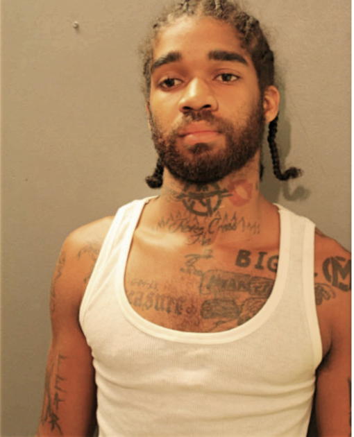 TREVEN PALMER, Cook County, Illinois