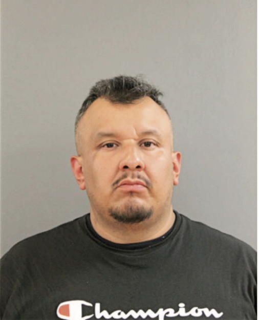 ALEJANDRO PERALES, Cook County, Illinois