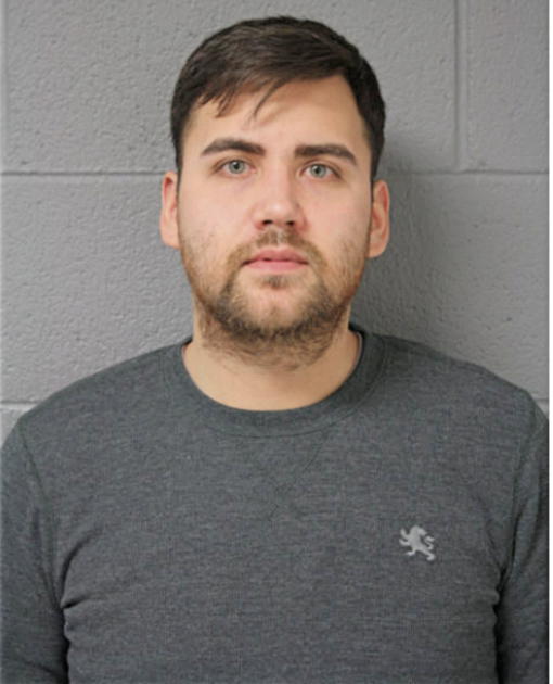 BRIAN W SCHOENECKER, Cook County, Illinois