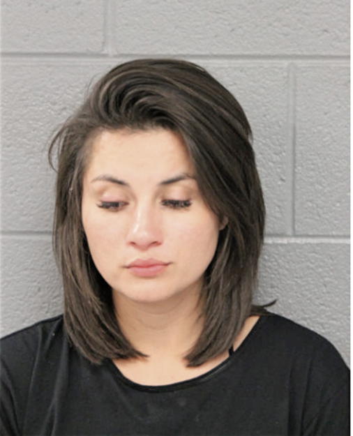 JESSICA M SWANSON, Cook County, Illinois