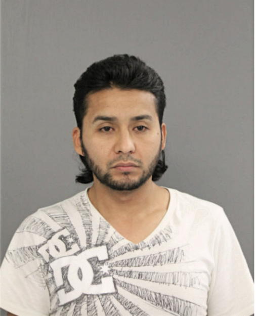 HECTOR L TREJO, Cook County, Illinois