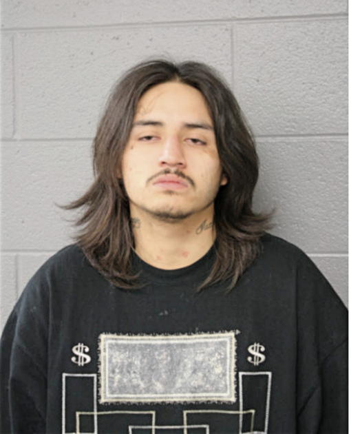 JULIAN A VELA, Cook County, Illinois