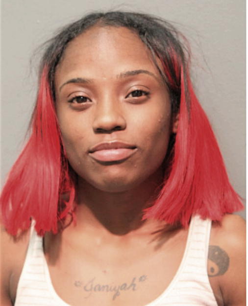 SHANICE A WEBB, Cook County, Illinois