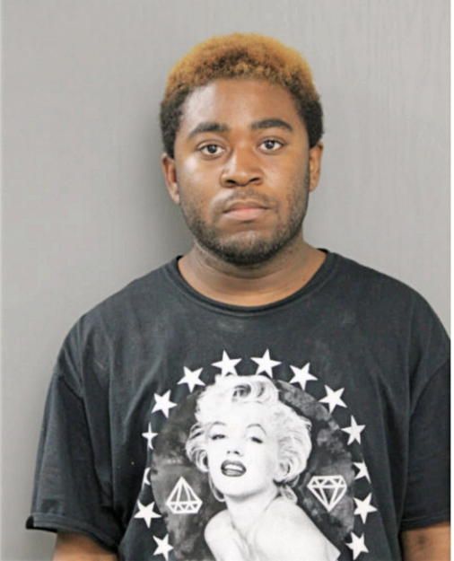 CHRISTOPHER T WILSON, Cook County, Illinois