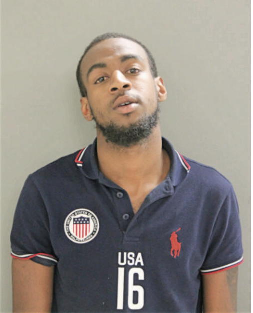 SEAN M WILSON, Cook County, Illinois