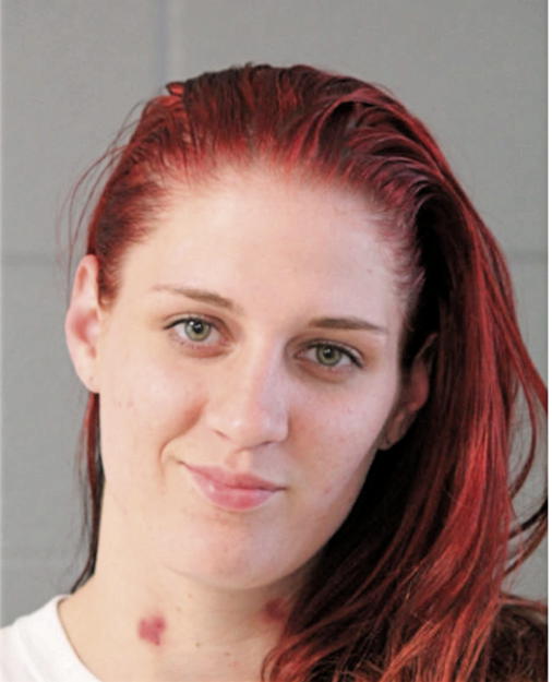 LINDSAY ZEDNICK, Cook County, Illinois