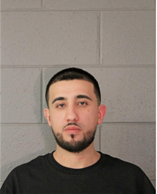 NOAH S ABOSWIELEM, Cook County, Illinois