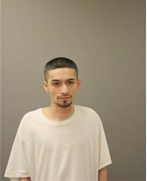 MARCOS ALARCON, Cook County, Illinois