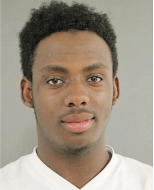 RAYVON X ALLISON, Cook County, Illinois